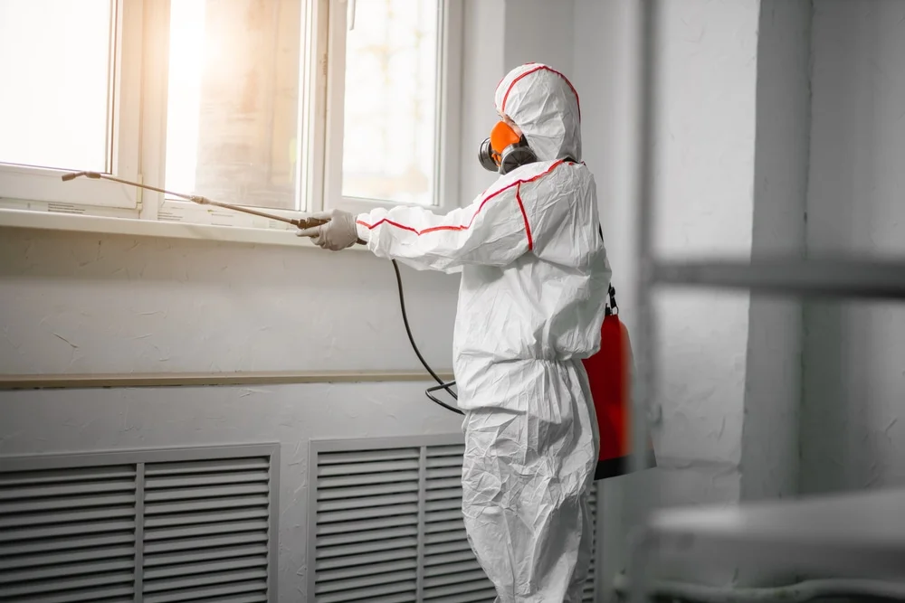 Professional mold remediation services in Montgomery, MN